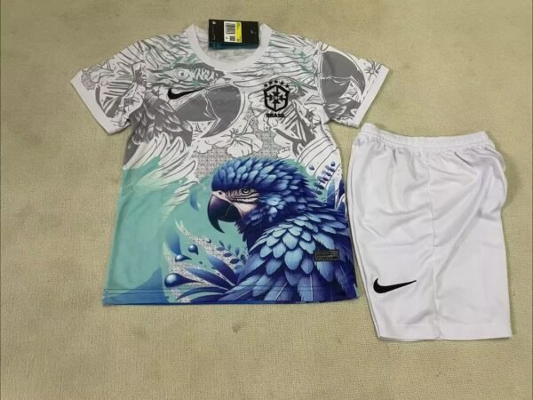 Brazil3