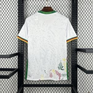 Cameroon4