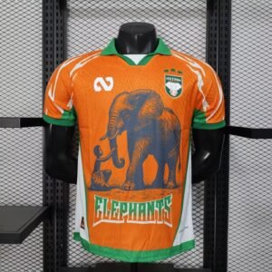 2026-2027 Ivory Coast Special Player Version