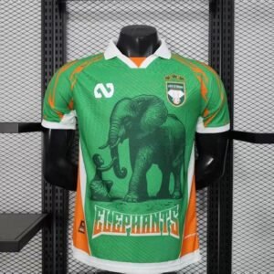 2026-2027 Ivory Coast Special Player Version