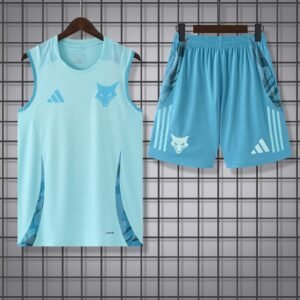 2025-2026 Cruzeiro Sleeveless Training Kit