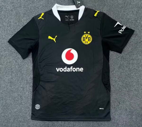 Dortmund2