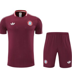 2025-2026 Bayern Munich Training Kit