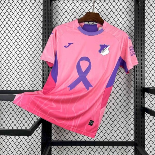 Hoffenheim1