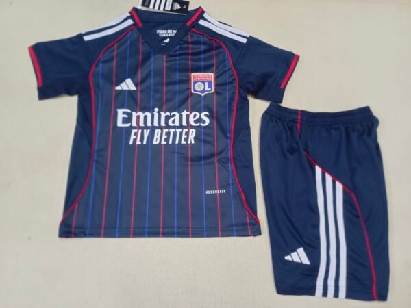Lyonnais2