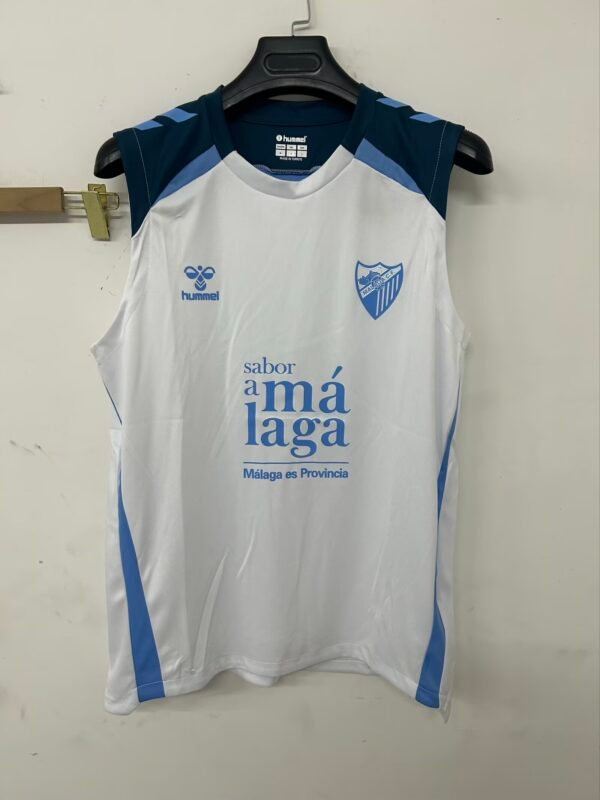 Malaga6