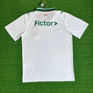 Palmeiras4