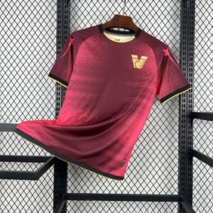 2025-2026 Venezia Training Stadium Version