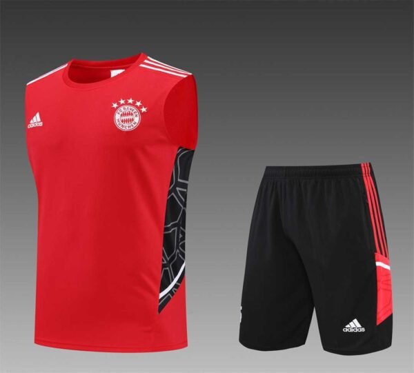 vest1