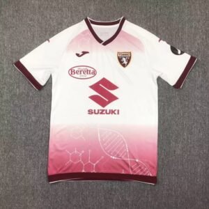2024-2025 Torino Training Stadium Version