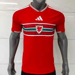 2026-2027 Wales Home Player Version