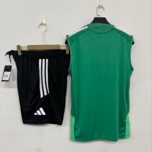 Celtics1