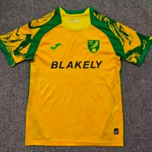 2026-2027 Norwich City Home Stadium Version