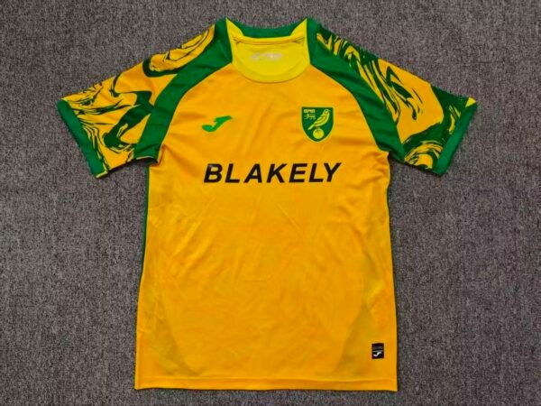 Norwich2