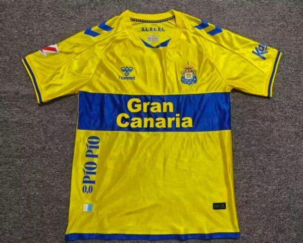 Palmas2