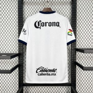 Toluca1