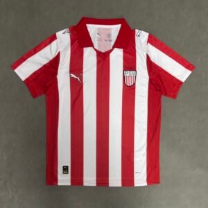 2026-2027 PSV Eindhoven Special Stadium Version